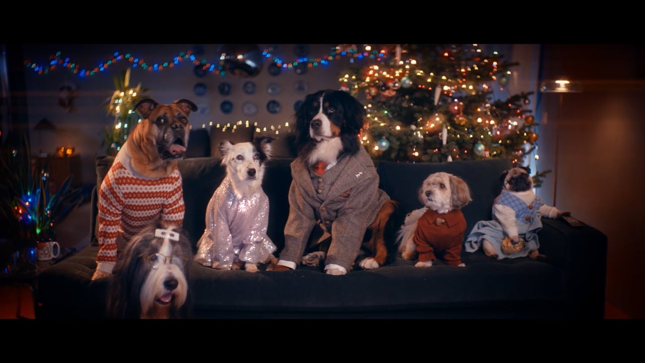 Dogs gathered at Christmas in a Síminn commercial